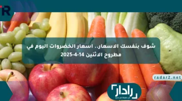 شوف بنفسك الأسعار.. أسعار الخضروات اليوم في مطروح الاثنين 14-4-2025